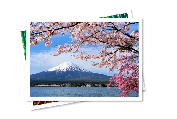 Viaggi organizzati in Giappone: cultura, meraviglia e tradizione